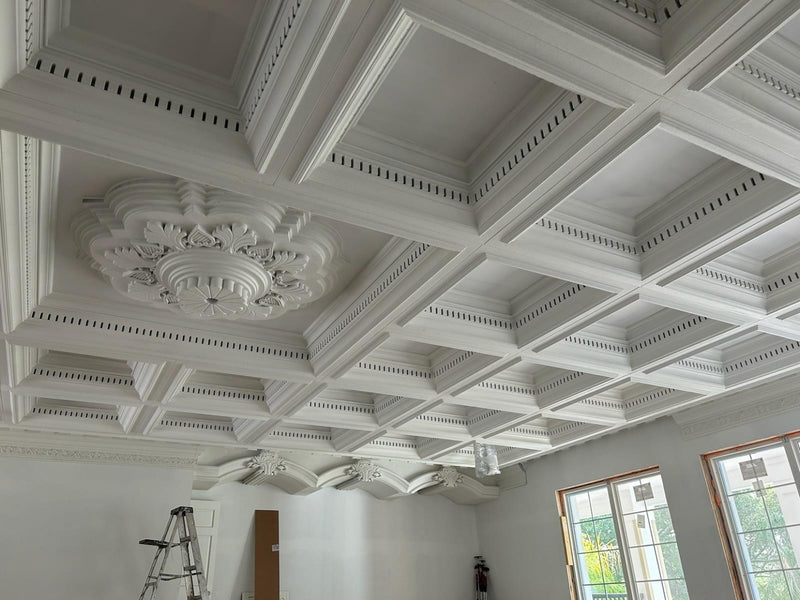 Carved Foam Ceiling Systems - Gallery